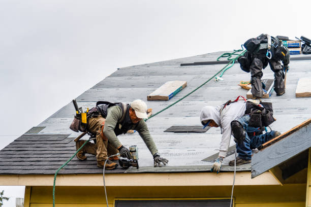 Professional Gutter Installation technician working in Canton, GA